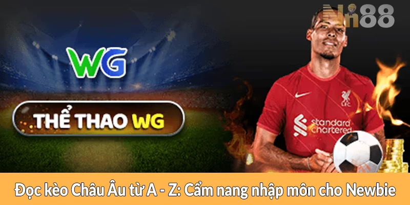 Đọc kèo Châu Âu từ A – Z: Cẩm nang nhập môn cho Newbie