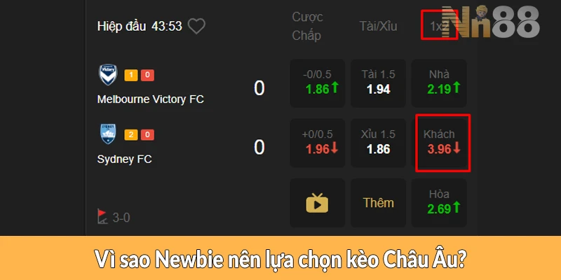 Vì sao Newbie nên lựa chọn kèo Châu Âu?